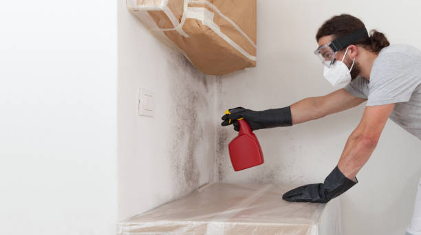 Professional Attic Mold Remediation technician working in Landisburg, PA